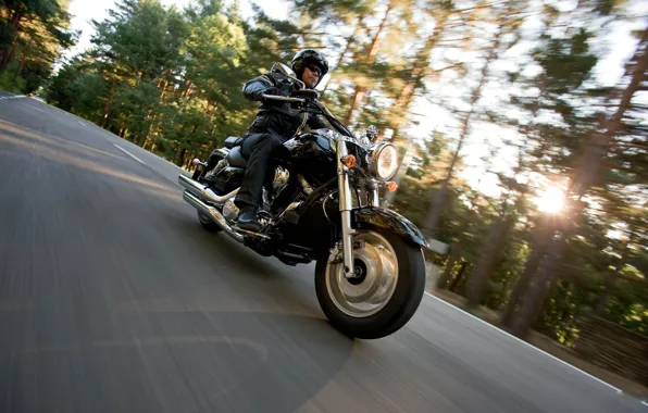 Picture Moto, biker, bike