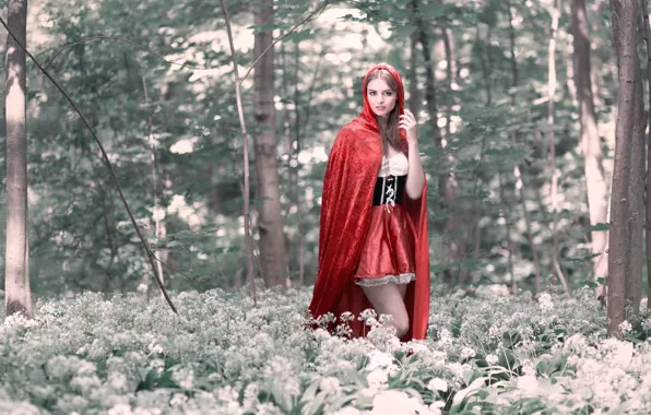 Picture forest, little red riding hood, Red Riding Hood, Cosplay