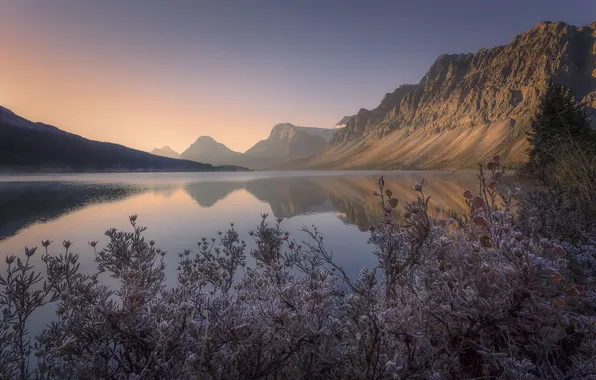 Light, mountains, branches, fog, lake, reflection, rocks, shore