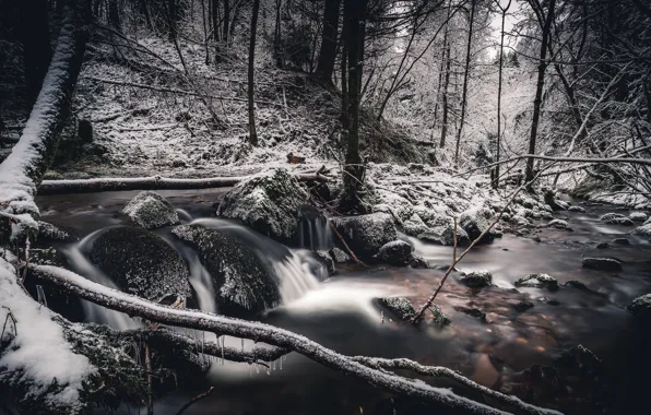 Winter, forest, snow, river, frozen, Scotland, Perthshire