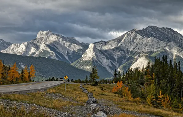 Picture road, the sky, trees, mountains, nature