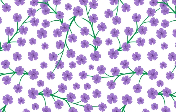 Picture flowers, white, flowers, background, pattern, purple