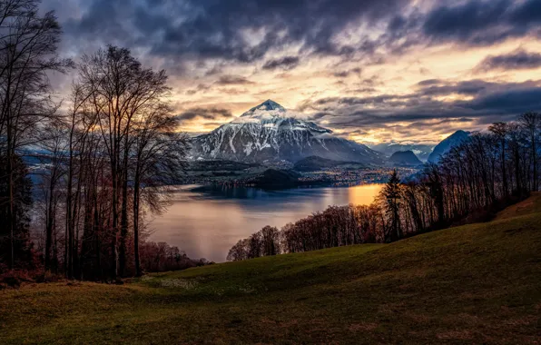 Trees, mountains, lake, Switzerland, Switzerland, Lake Thun, Bernese Alps, The Bernese Alps