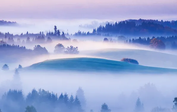 Mountains, fog, hills, morning, Germany, Bayern