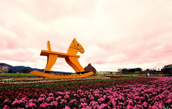 Picture landscape, flowers, horse