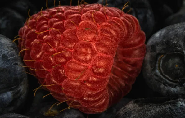 Berries, raspberry, food