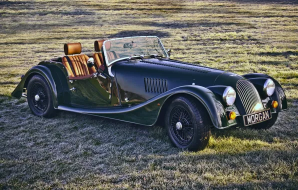 Picture field, grass, 2008, green, supercar, the front, Sport, Morgan