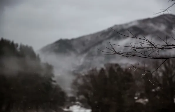 Picture winter, mountain, fog