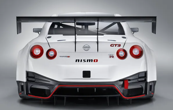 GTR, Nissan, GT-R, racing car, spoiler, rear view, GT3, 2018