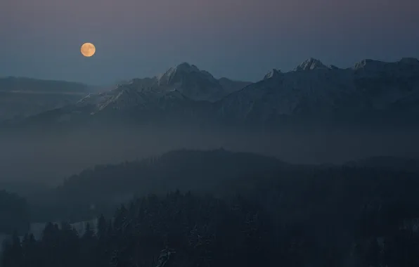 Picture winter, the sky, snow, trees, mountains, night, nature, rocks