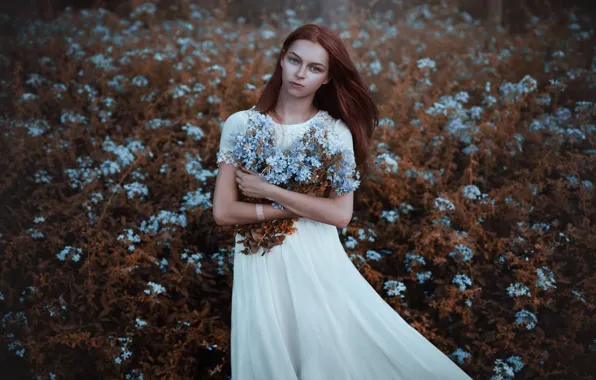 Wallpaper field, look, girl, flowers, Adi Dekel