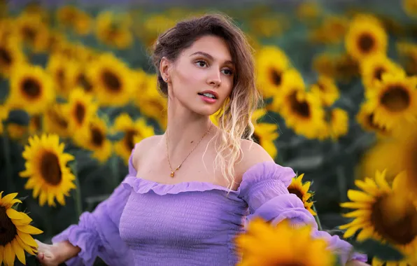 Picture girl, sunflowers, portrait, makeup, Alina, dress, hairstyle, nature