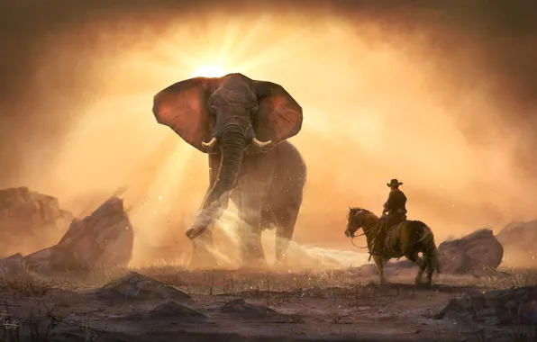Sand, stones, elephant, rider, Chasing twisters
