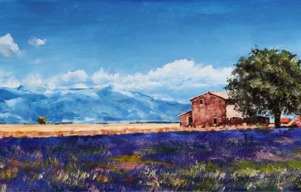 Picture summer, France, Europe, artist, painting, lavender, Provence, canvas oil