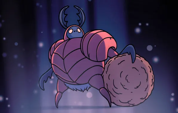 Picture Extension Defender, Hollow Knight, Team Cherry