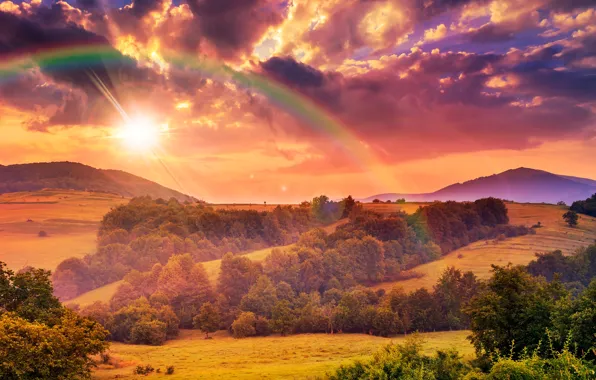 Picture greens, field, summer, the sky, grass, the sun, clouds, trees
