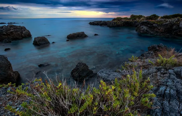 Sea, greens, the sky, leaves, clouds, branches, clouds, stones