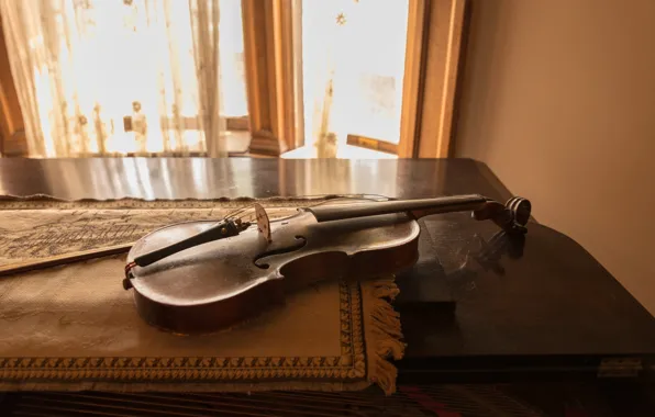 Light, retro, music, table, room, violin, window, curtains