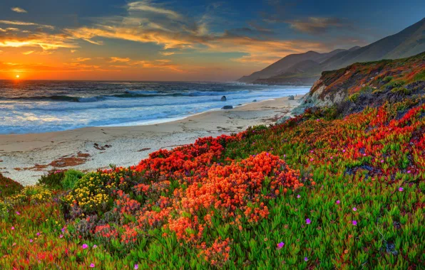 Sand, sea, beach, the sky, water, the sun, landscape, sunset