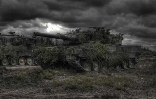 Disguise, Tank, bad weather, Leopard2