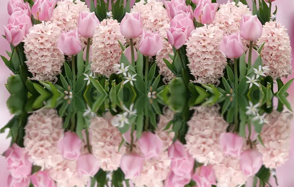 Leaves, flowers, reflection, treatment, spring, tulips, pink, flowerbed