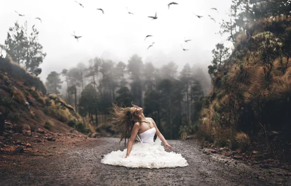 Picture road, forest, girl, birds, mood, hair, the situation, dress