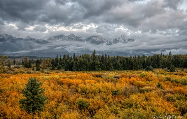 Autumn, forest, clouds, trees, mountains, Grand Teton National Park