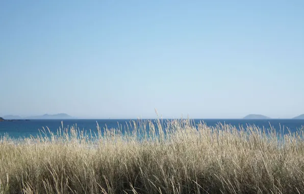 Summer, grass, sea, ocean, seascape, islands, sunny