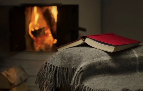 Fire, book, fireplace, plaid