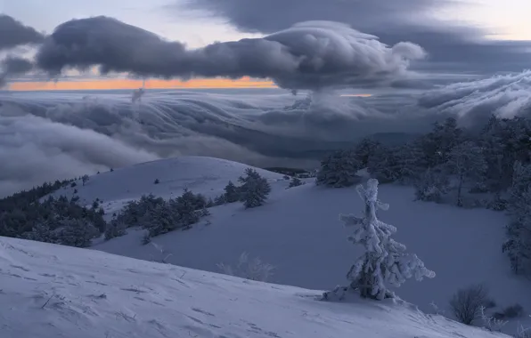 Winter, frost, Demerdzhi, OUR CRIMEA