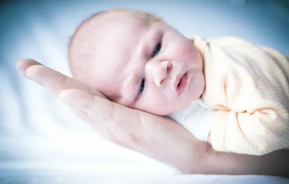 Life, hand, baby