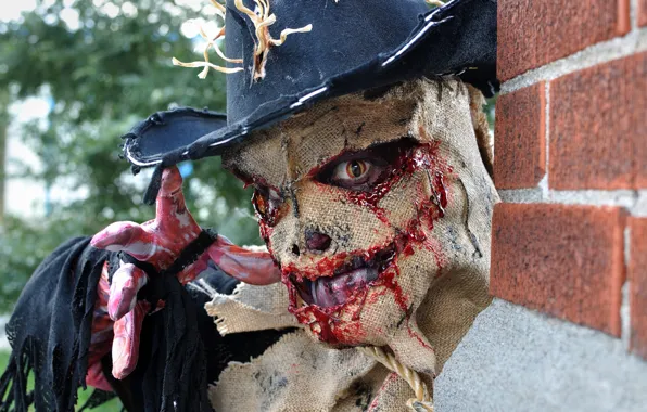 Eyes, look, style, hat, male, bag, cosplay
