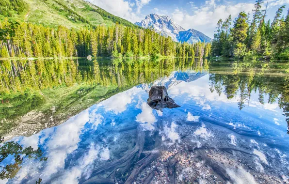 Picture the sky, snow, trees, mountains, lake