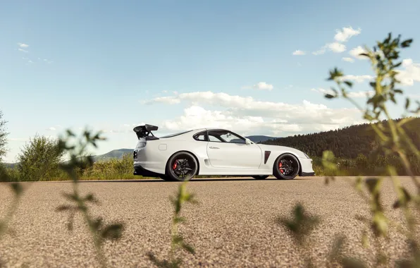 Picture Toyota, Black, Supra, Wheels