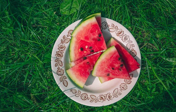 Greens, grass, glade, watermelon, plate, pieces, slices