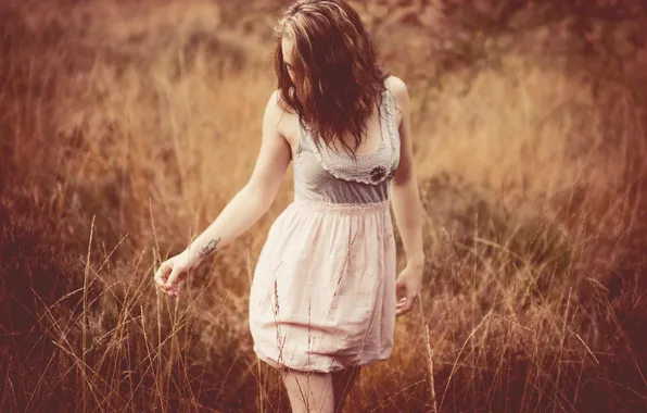 Picture grass, girl, dress, brown hair