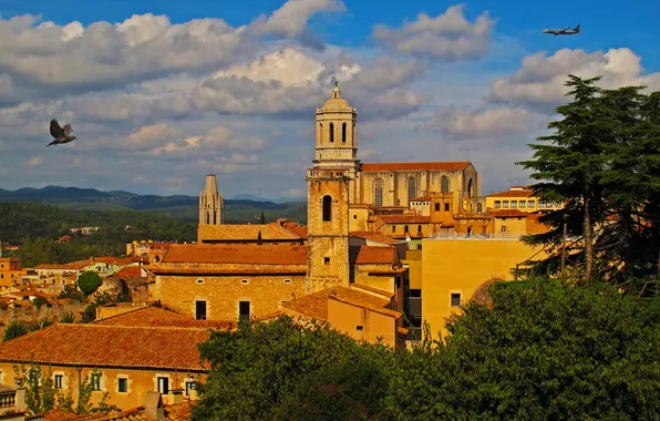 Picture clouds, trees, the plane, dove, home, Spain, Girona