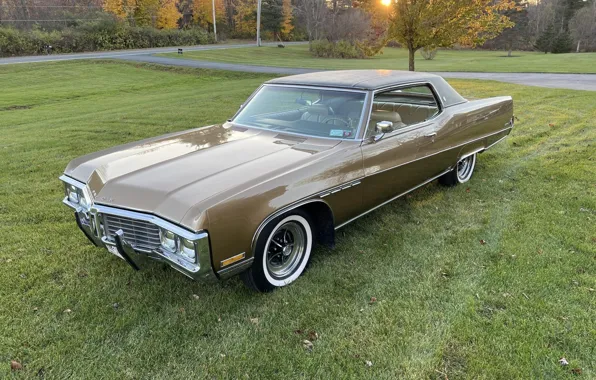 Picture Coupe, Hardtop, Buick, Electra, '1970, 225