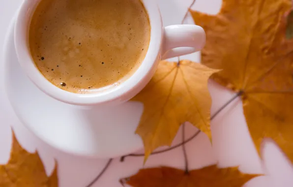 Autumn, coffee, Breakfast, Cup, autumn
