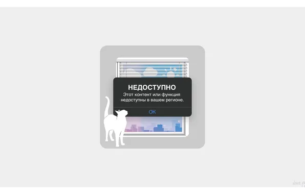 Summer, cat, access, window, region