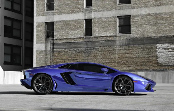 Picture blue, profile, lamborghini, drives, blue, aventador, lp700-4, Lamborghini
