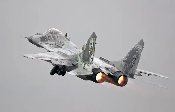 Picture weapons, the plane, MiG-29AS