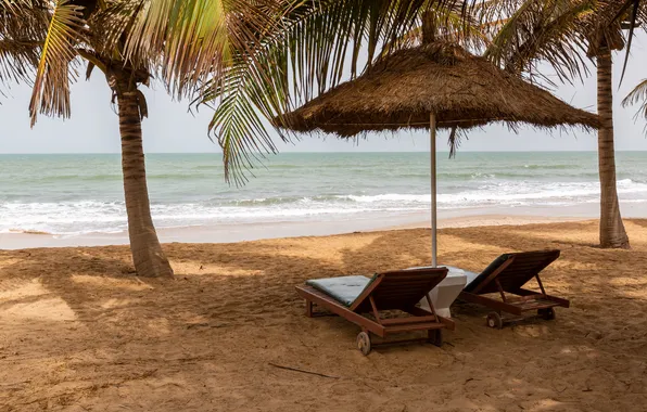 Picture sand, sea, beach, summer, the sky, palm trees, vacation, chaise