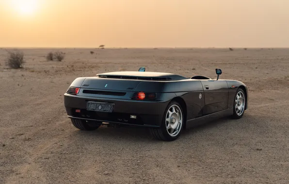 Supercar, supercar, 1995, De Tomaso, the only instance, the only instance, De Tomaso Guara Barchetta, …