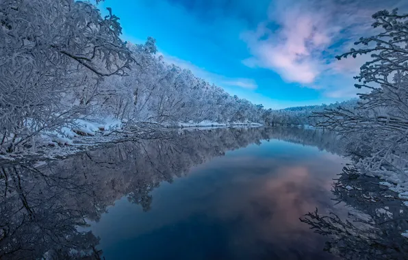 Winter, forest, trees, reflection, river, Finland, Finland, Lapland