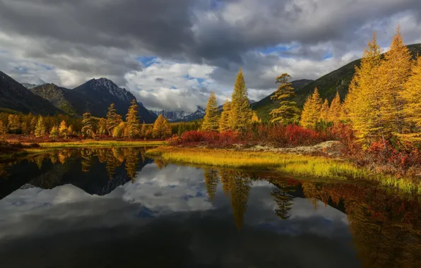 Picture autumn, clouds, trees, landscape, mountains, nature, Kolyma, Maxim Evdokimov