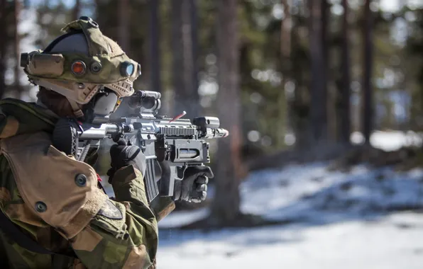 Weapons, army, soldiers, Norwegian Army