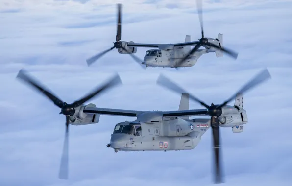 Picture The tiltrotor, MV-22B Osprey, US Marine Corps