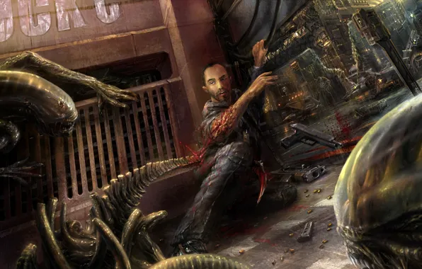 The victim, Stranger, Pavel Lagutin, the last effort