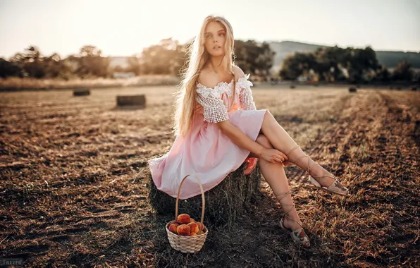 Field, summer, girl, dress, harvest, legs, basket, Evgeny Freyer